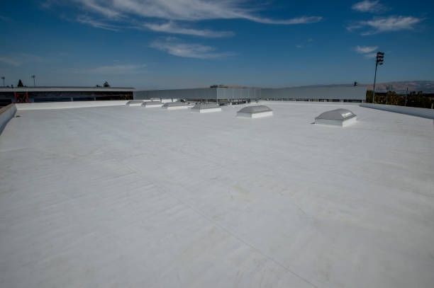 Best Roof Moss and Algae Removal  in Jeannette, PA