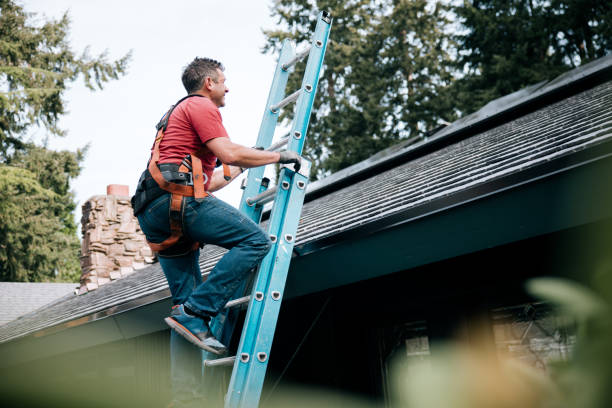Best Steel Roofing  in Jeannette, PA